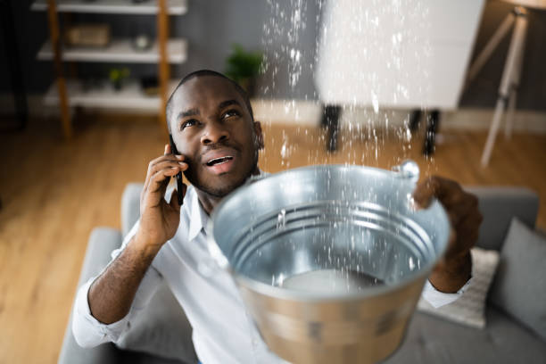 Best Water damage restoration near me  in Akron, IA