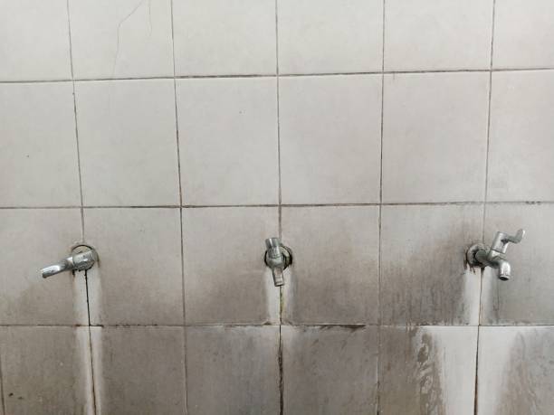 Best Water damage contractors near me  in Akron, IA